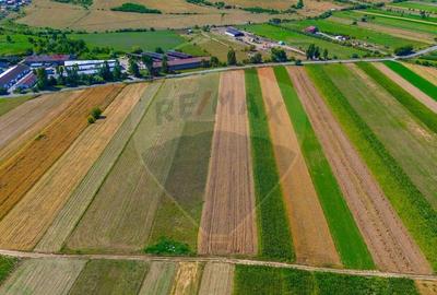 Teren agricol extravilan de 7000 mp, în Teliu - 6