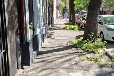 Birou, de 40 mp, în Central - 1