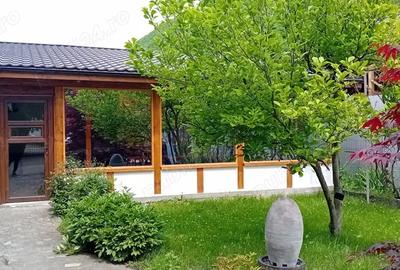 Ofer spre administrare inchiriere pensiune 20-25 pers Paltinu - 2