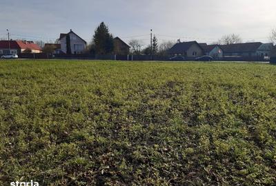 Teren de 2325 mp, în Prejmer - 8