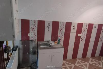 Apartament cu 2 camere în Badea Cârțan