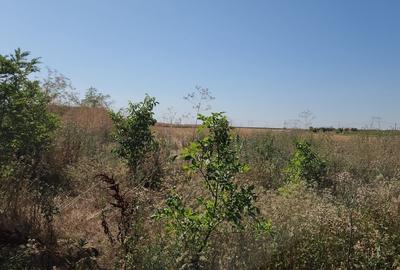 Teren în Berceni - 10