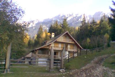 Vanzare Cabana in pitorescul peisaj din Plaiul Foii, Zarnesti Brasov