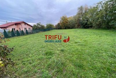 Teren intravilan Construibil in Ighiu 1071 mp teren - 3