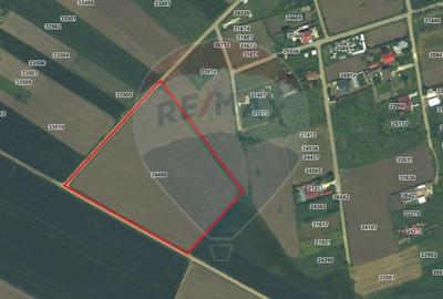 Teren intravilan - 17.500 mp - Gostilele Fundulea Teren intravilan - 17.500 mp - Gostilele Fundulea - 3