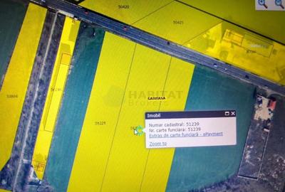 Teren intravilan 15.000 mp – DN2 Afumați - 2