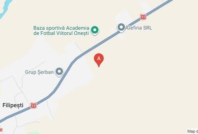 Teren Construcții extravilan de 3800 mp, în Bogdănești - 1
