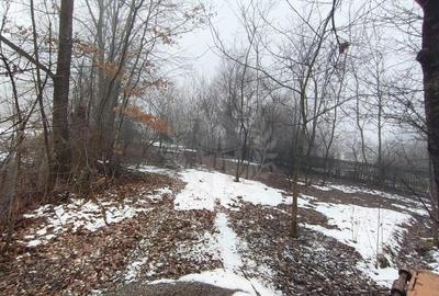 Teren de 659 mp, în Cornu - 2