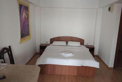 Proprietate impresionantă Snagov | rezidență, pensiune sau sediu firma - 15