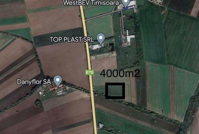 Spațiu comercial, în Șag - 4