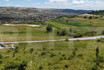 OPORTUNITATE! Teren intravilan 700 mp, Chinteni - 4