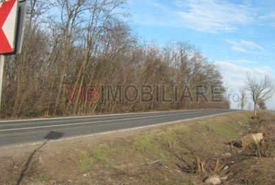 Teren de 61830 mp, în Belciugatele - 6