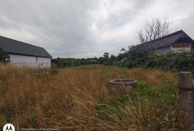 Teren de 1617 mp, în Lăpuș - 1