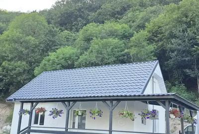 Casa de vanzare