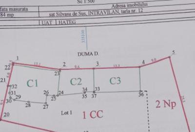 Casă cu 7 camere cu Teren 984 Mp în Silvașu de Sus - 2