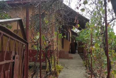 Casă cu 4 camere cu Teren 951 Mp în Saraiu - 11