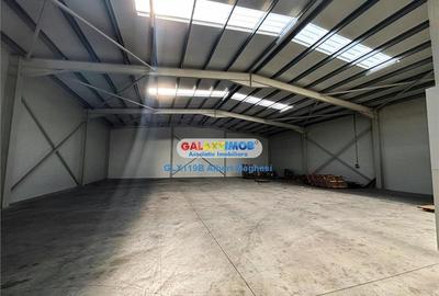 Inchiriere hala depozitare Parc Industrial TBM Rudeni Inchiriere hala depozitare Parc Industrial TBM Rudeni - 5