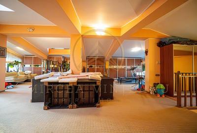 DACIA - Vila D+P+1E+M, teren 780 mp, deschidere 24 ml. - 56