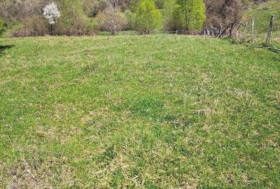 Teren de 3600 mp, în Central - 10