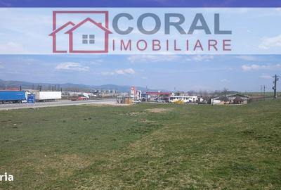 Teren de 4800 mp, în Central - 3