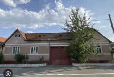 Casa cu cerdac ,gradina mare 3217 si teren 4000 mp un total de 7217 mp.Curent trifazic. - 5