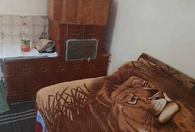 Casă cu 4 camere cu Teren 2200 Mp în Central