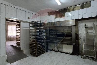 Casă cu 10 camere cu Teren 1000 Mp în Chisindia - 16