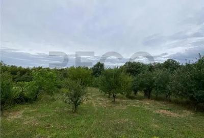 Casă cu 2 camere cu Teren 2889 Mp în Hidiș - 9