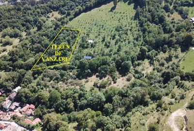Teren in Scheii Brasovului inconjurat de natura - 4
