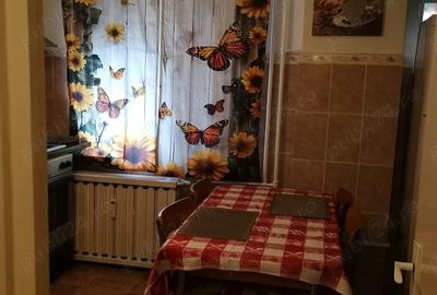 Garsonieră decomandată în Brazda lui Novac - 2