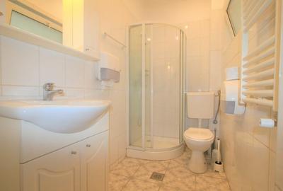 Proprietate Dorobanti Capitale - 8