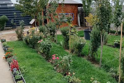 Casa de vanzare Magnolia - 9