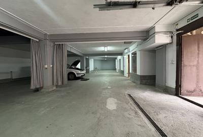 Spatiu comercial/depozit, 229 mp utili, rampa acces auto, zona Iulius Mall - 10