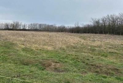 Spațiu comercial, în Central - 3