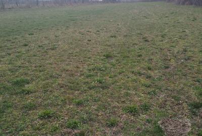 Casă cu 4 camere în Central - 3