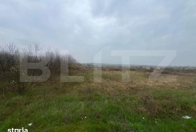 Teren de 4650 mp, în Almăj
