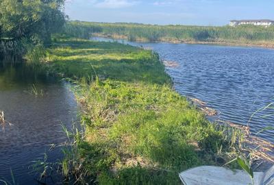 Teren intravilan 4.200 mp Murighiol - 11