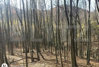 Teren în Central - 7