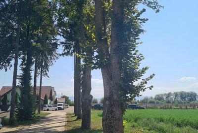 Spațiu comercial, în Prejmer - 3