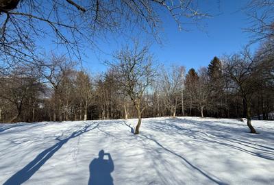 Teren Construcții intravilan de 763 mp, în Tohănița - 4