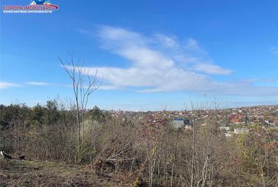 Teren de zona Bididia Tulcea - 16