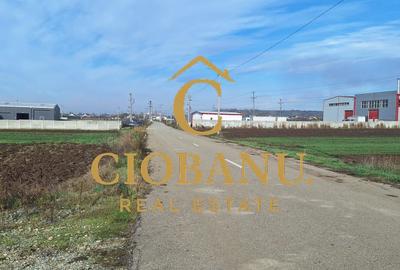 Hala de vanzare in Racari de Jos - 19