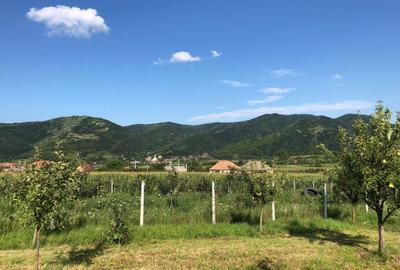 Spațiu comercial, în Șimleu Silvaniei - 2