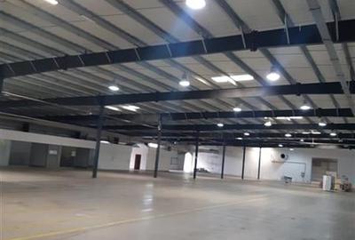 Hala pentru activitati industriale sau comerciale in Zona Industriala Arad Est - 2