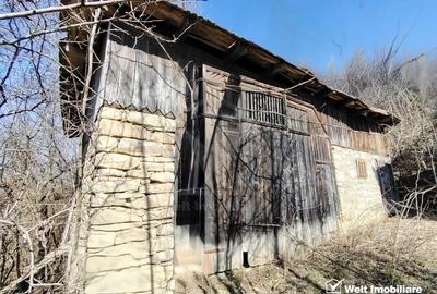 Teren Construcții intravilan de 2946 mp, în Micești - 7