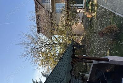 Casa de vanzare pe caramidari - 5