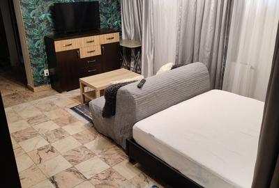 Garsonieră spațioasă la vilă de închiriat Berceni - 2