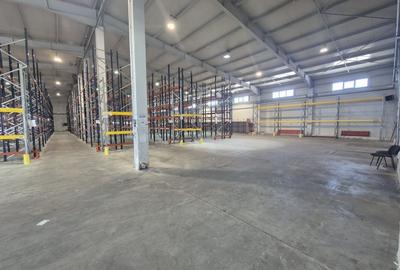 Spațiu industrial, de 2,586 mp, în Dragomirești-Vale - 3