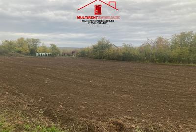 Teren cu case de vanzare in Randunica , Tulcea! - 1