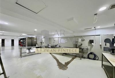 Hala pretabila farma sau carmangerie birouri, Ploiesti Hala pretabila farma sau carmangerie birouri, Ploiesti - 16